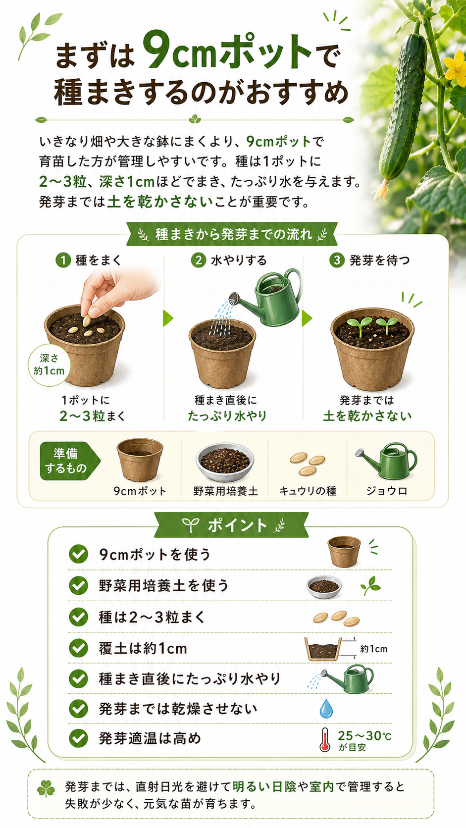 まずは9cmポットで種まきするのがおすすめ。種まきから発芽までの流れ、準備するもの、発芽までの管理ポイント。